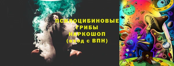 дмт Няндома