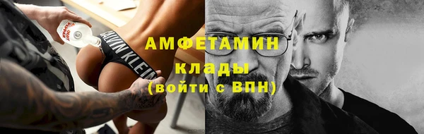 ГАЛЛЮЦИНОГЕННЫЕ ГРИБЫ Апатиты