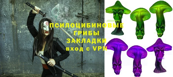 ГАЛЛЮЦИНОГЕННЫЕ ГРИБЫ Нязепетровск