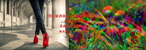 метадон Нягань