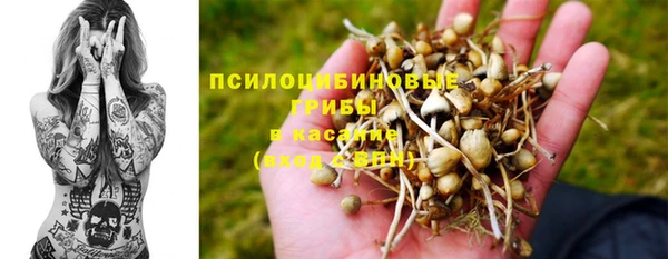дмт Няндома