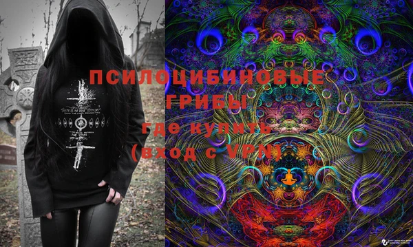 ГАЛЛЮЦИНОГЕННЫЕ ГРИБЫ Нязепетровск
