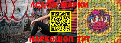 СК Конаково