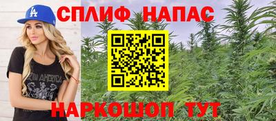 крисы Коммунар
