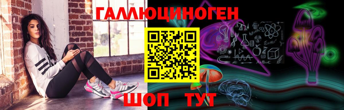 Галлюциногенные грибы Psilocybe Тейково
